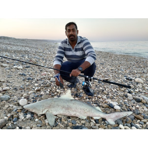 Dileep